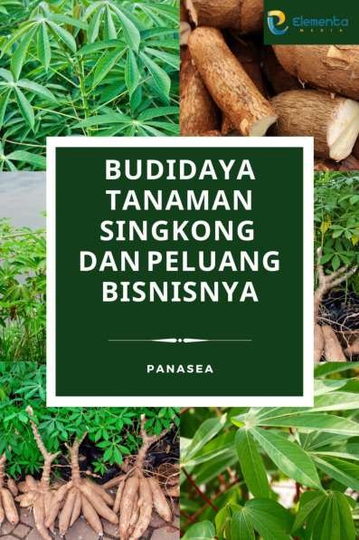 Budidaya Tanaman Singkong dan Peluang Bisnisnya